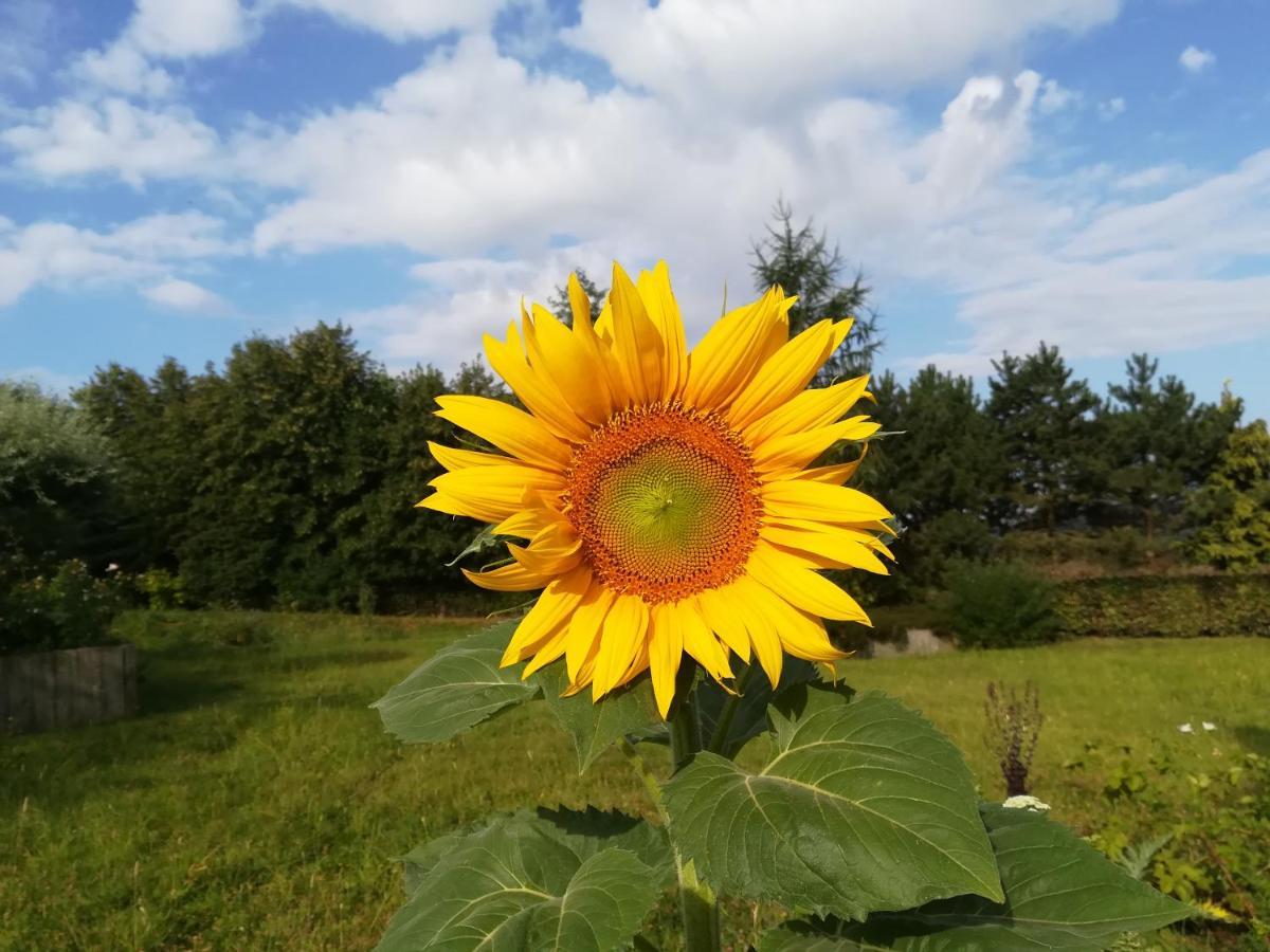 Carpe Diem Mont  Buitenkant foto